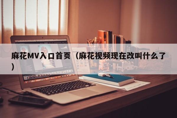 麻花MV入口首页（麻花视频现在改叫什么了）
