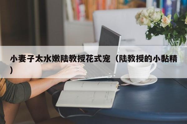 小妻子太水嫩陆教授花式宠（陆教授的小黏精）